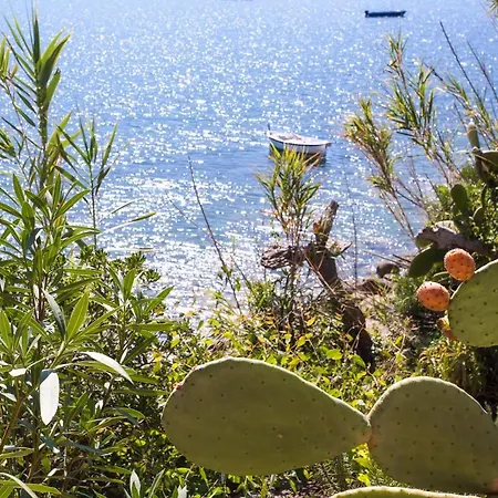 Daire Bilocale Ostrica *